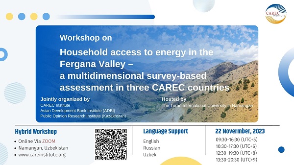 Household access to energy in the Fergana Valley – a multidimensional survey-based assessment in three CAREC countries